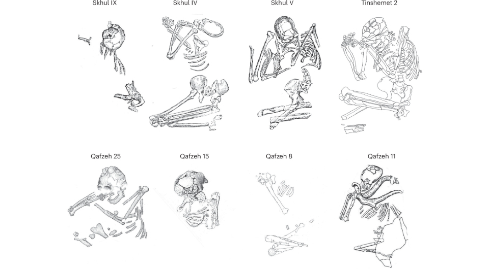 Желіде бау таққан жігіт бейнеленген порно видеолар