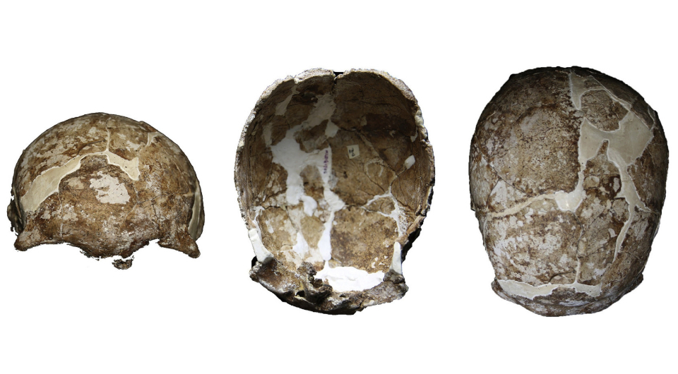 Черепная крышка из пещеры Малудун