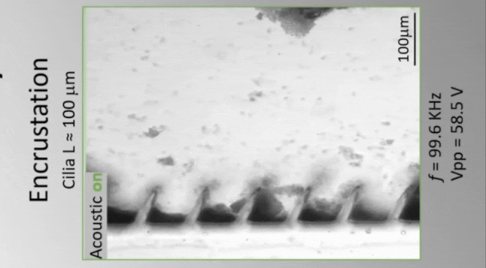 Легинс киген қыздың порно видеосы