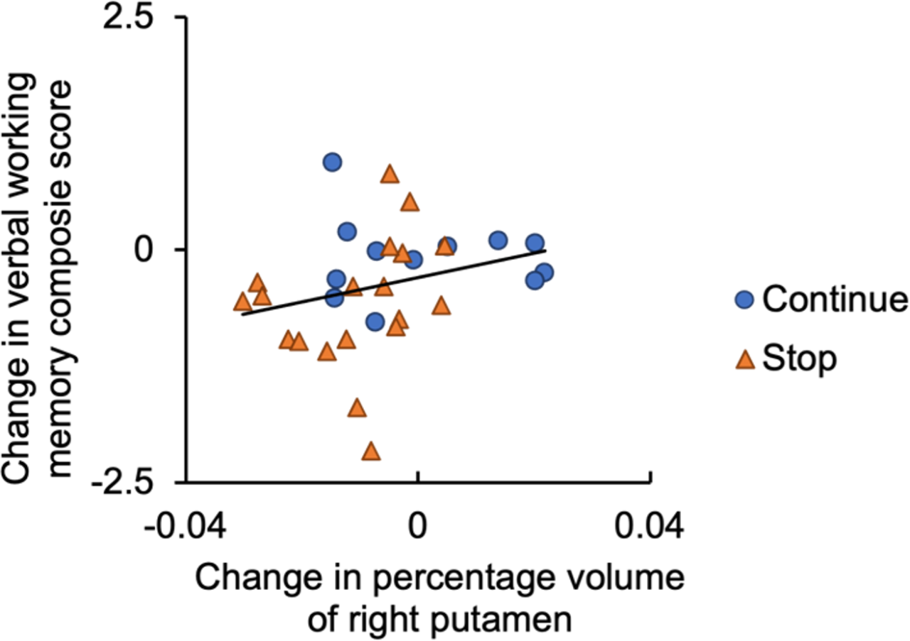 Корреляция между вербальной рабочей памятью и объемом правой скорлупы