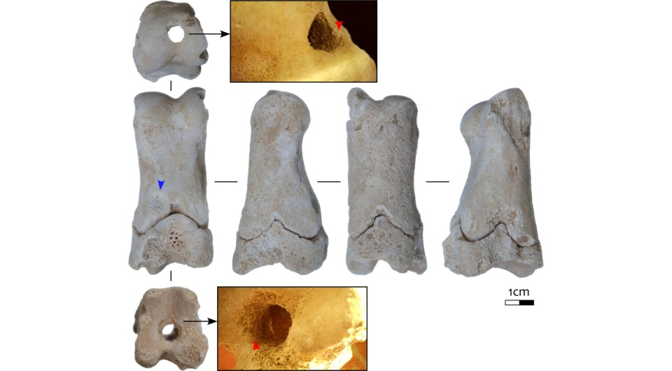 Костяной свисток из Древнего Египта