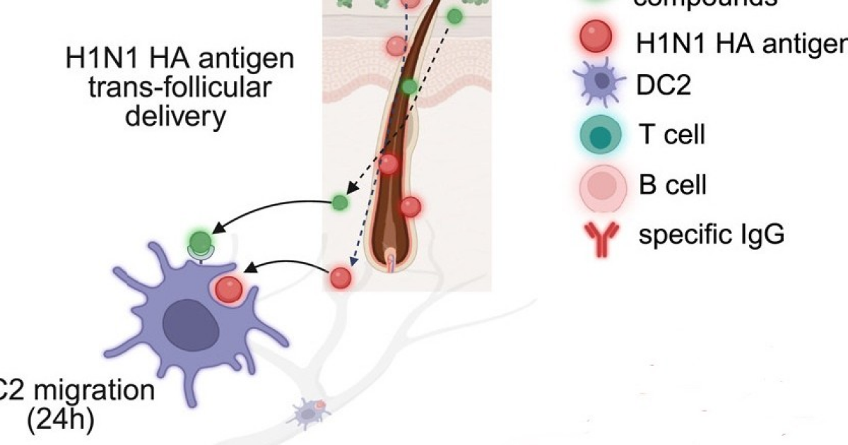 Втирание вакцины от гриппа в сочетании с массажем оказалось эффективнее инъекции