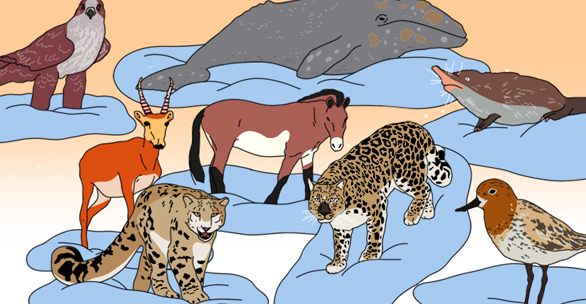 Не время вымирать