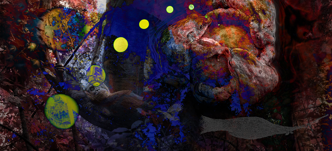 Отчаяние сыча, горящий лес и тритон в сумерках