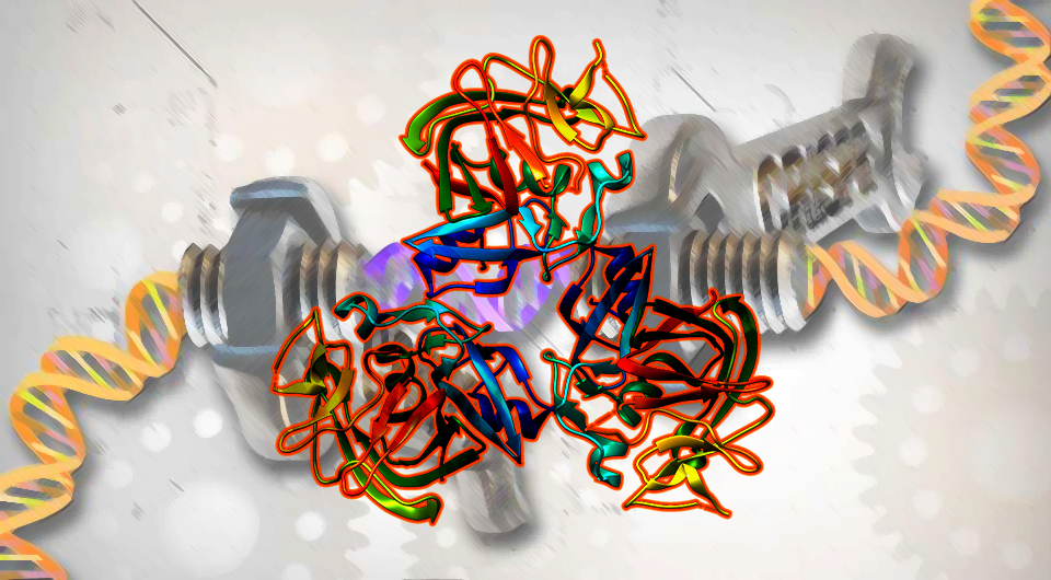 Структура ANGPTL3
