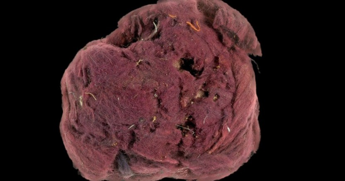 Ценный пурпур подделали в римское время