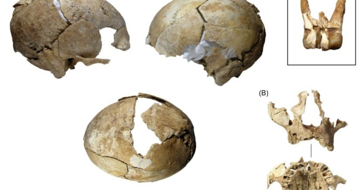 Римляне больше 2000 лет назад выставили на всеобщее обозрение отрубленную мужскую голову