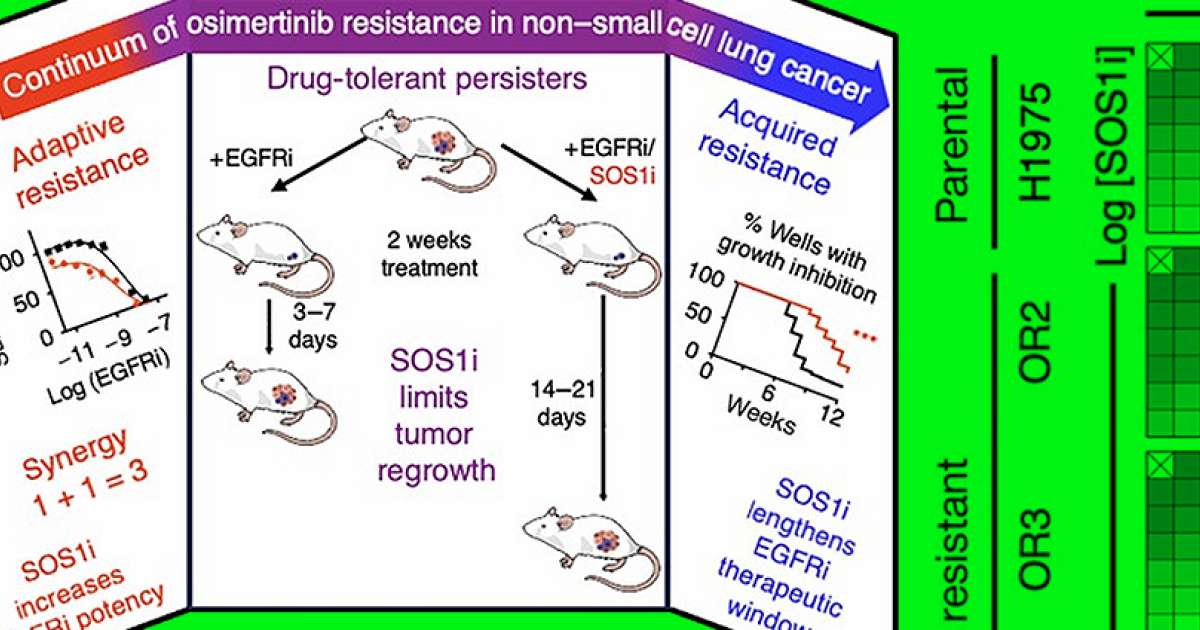 Двухкомпонентная терапия замедлила появление лекарственной устойчивости в раковых клетках