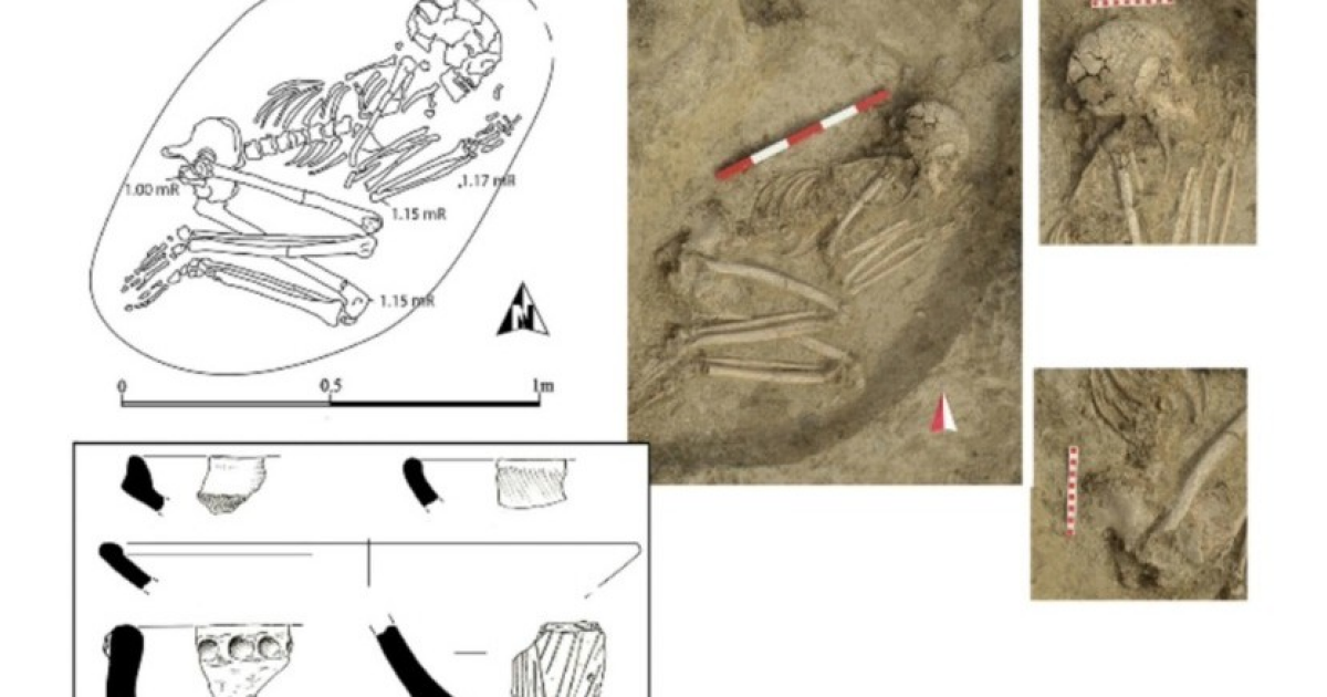 Доисторический европеец пострадал при нападении льва