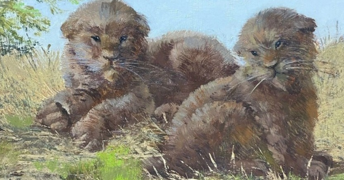 Сибирские саблезубые кошки укрылись в редколесье