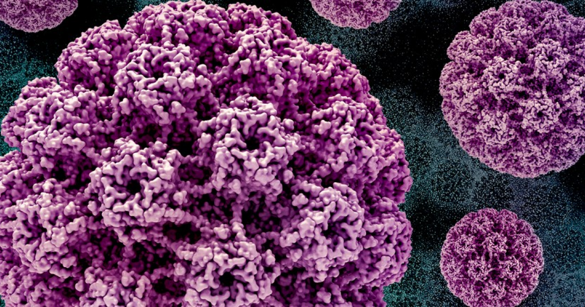 Эффективность одной дозы вакцины от ВПЧ подтвердили в крупных испытаниях