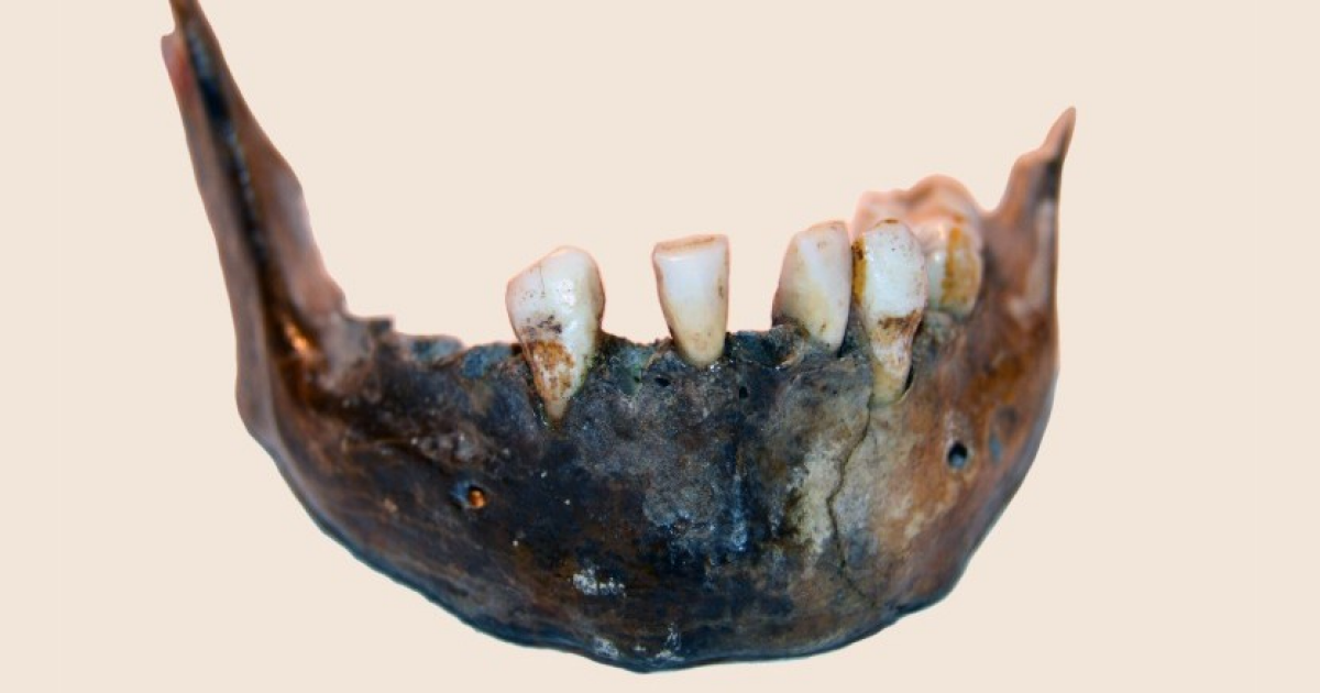 Палеогенетики секвенировали ДНК жившего 10 тысяч лет назад южного африканца