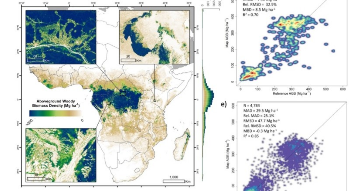 Вырубки превратили африканские леса в источник парниковых газов