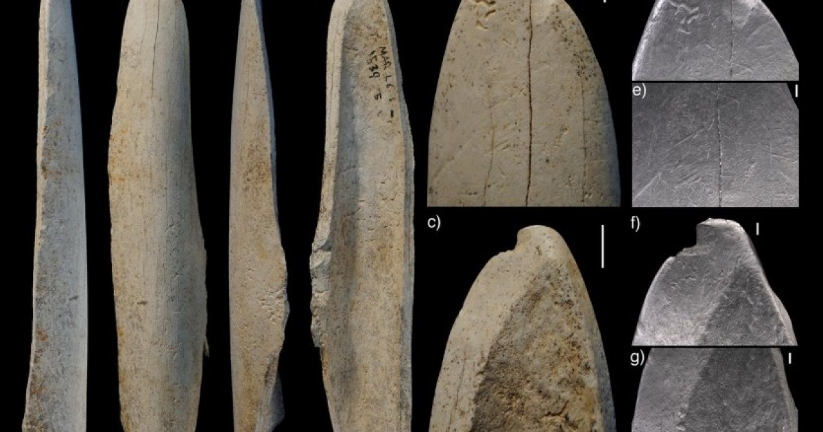 Неандертальцы освежевали туши обломком кости
