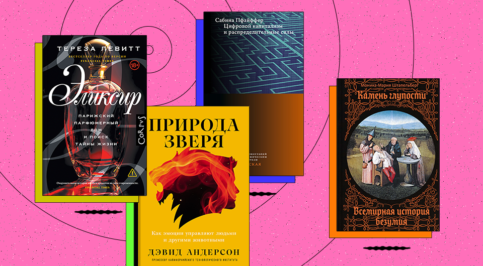 Страты гнева и частицы гниения