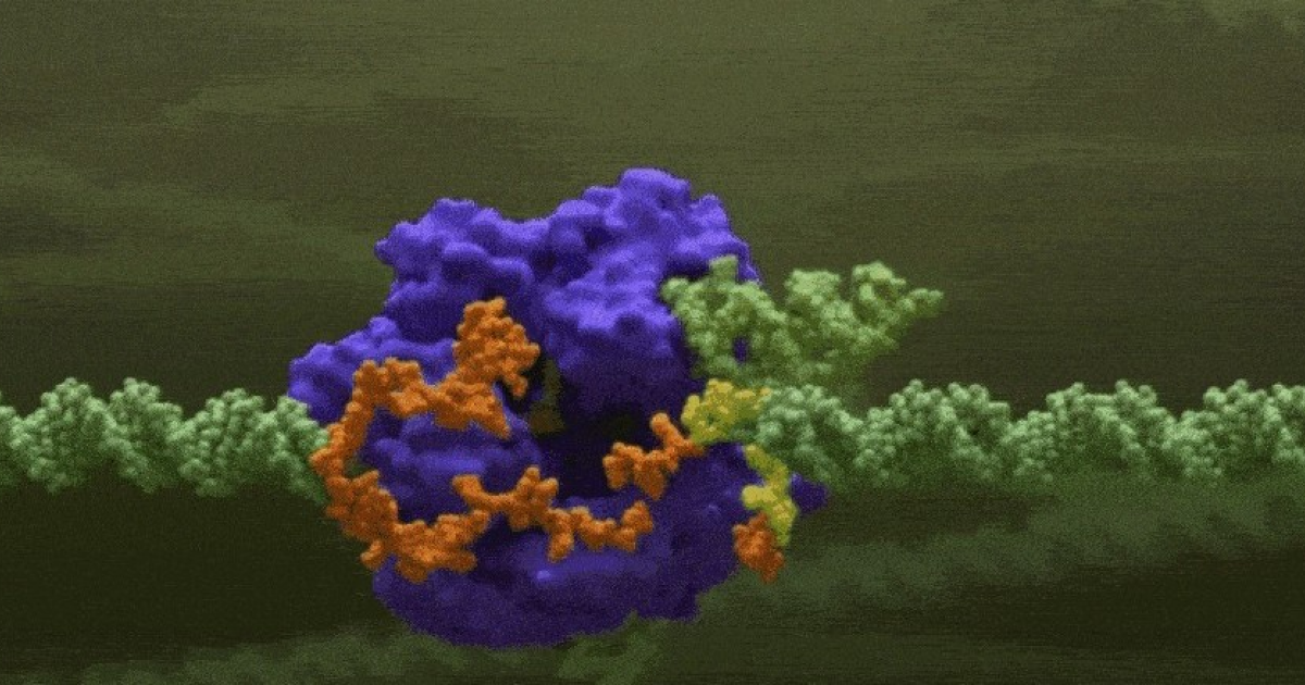 CRISPR-терапия серповидноклеточной анемии и бета-талассемии помогла детям до 12 лет