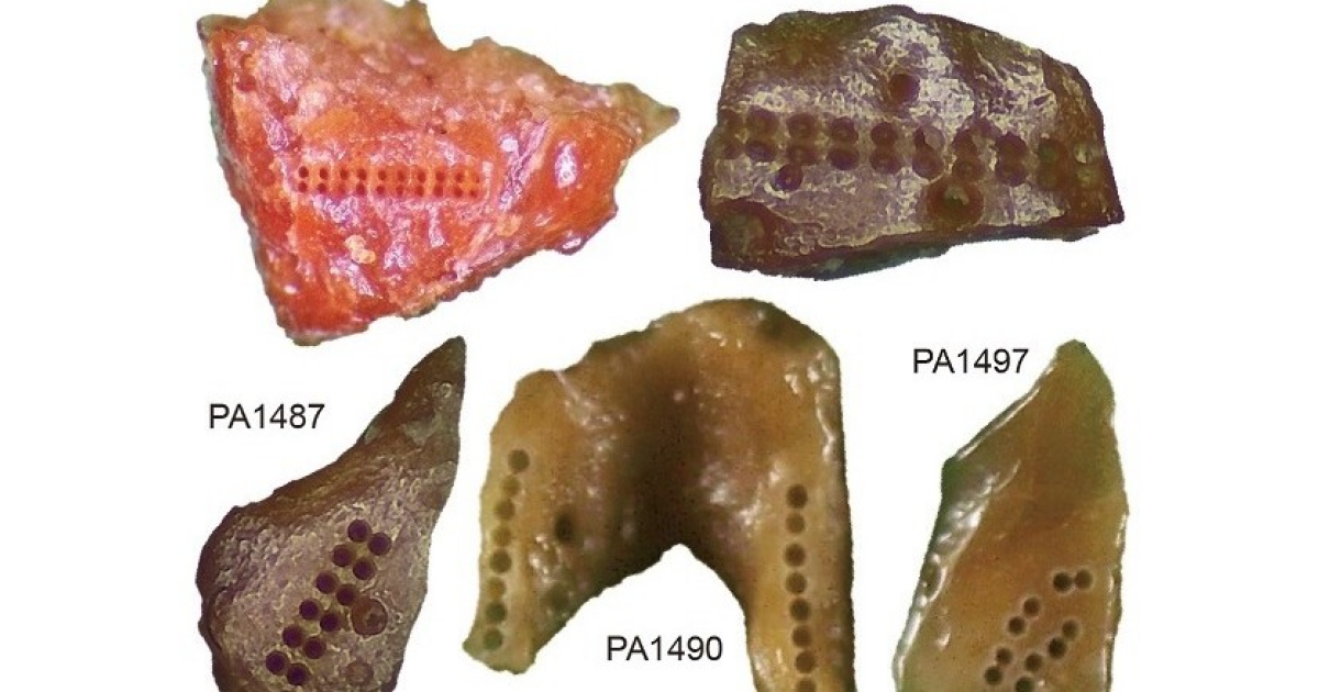 Возраст человеческих останков из Сюйцзяяо составил как минимум 128 тысяч лет