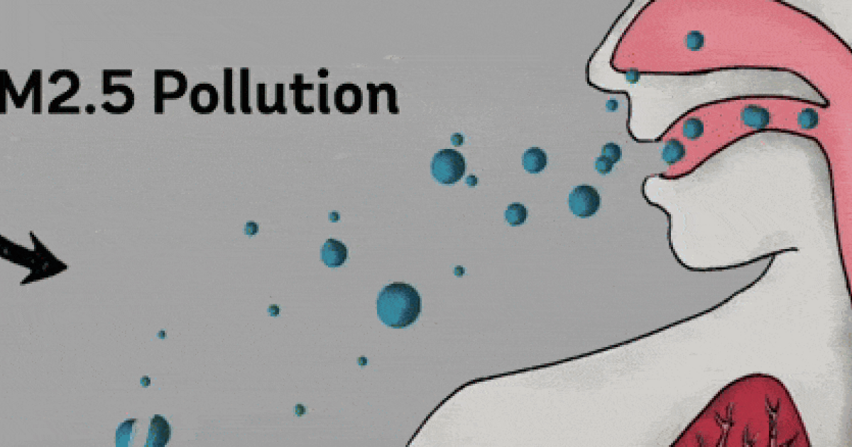 Загрязнение воздуха связали со сниженным весом детей при рождении