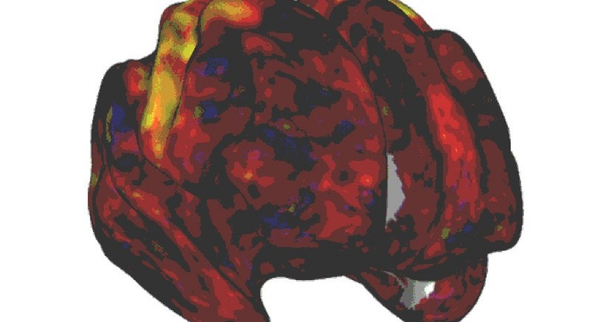 Психостимуляторы подействовали при СДВГ за счет повышения бодрости и заинтересованности