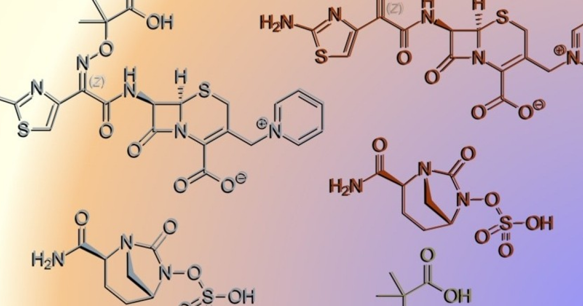 Цефтазидим с авибактамом оказался эффективнее других антибиотиков в лечении клебсиеллезной инфекции