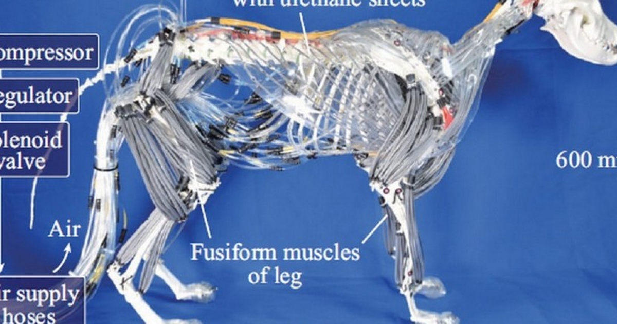 В Японии создали робопса с пневматическими мышцами