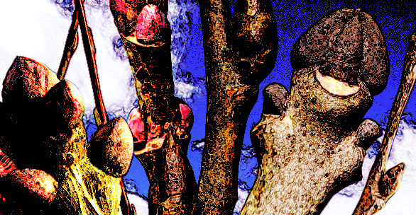 Голые и лесные