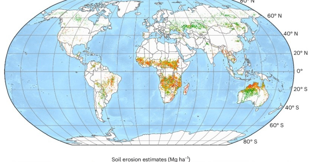 Пожары обвинили в ежегодной эрозии пяти миллиардов тонн почвы