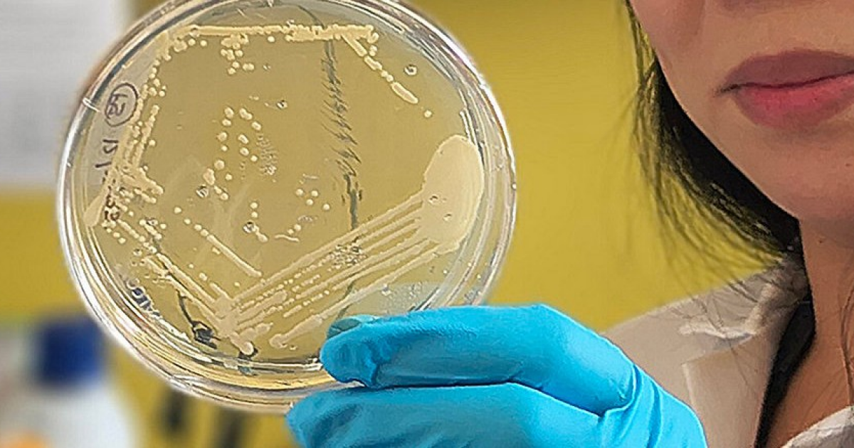 Виновными в синдроме автопивоварни признали кишечную палочку и клебсиеллу