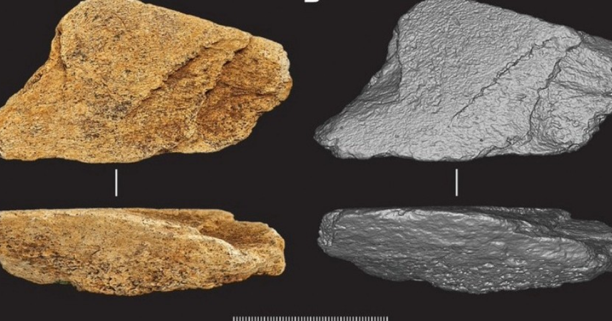В Британии обнаружили древнейшее в Европе орудие из слоновой кости