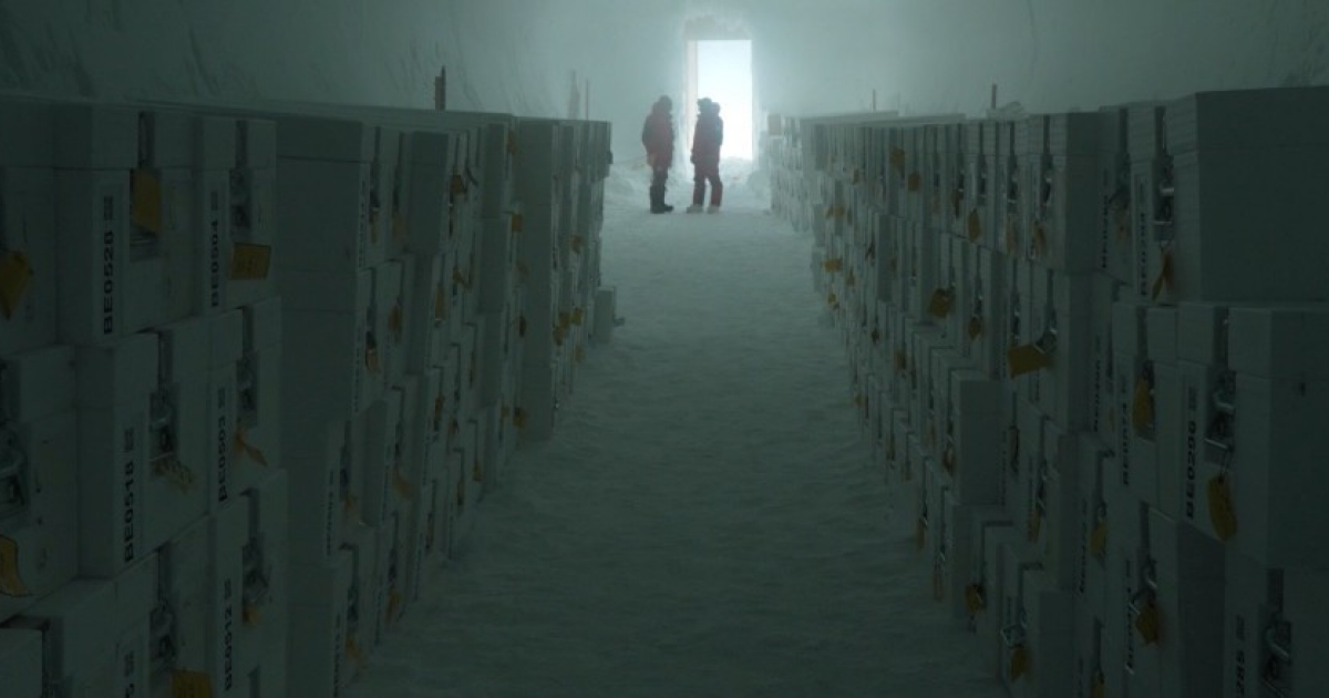 В Антарктиде открыли мировое хранилище ледниковых кернов