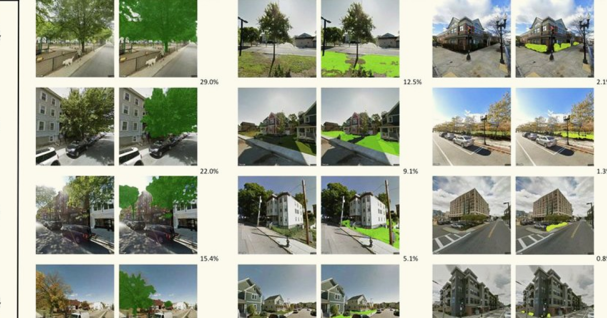 Большое количество видимых деревьев вокруг дома снизило частоту болезней сердца