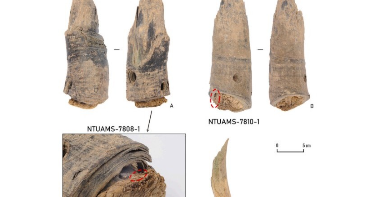 Алтайский рудник назвали древнейшим в Восточной и Центральной Азии