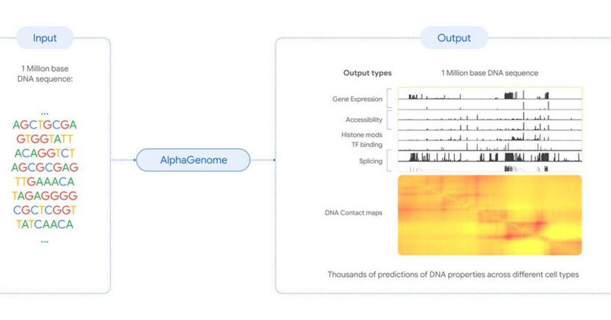 Google DeepMind представила модель для предсказания эффектов вариантов генов AlphaGenome