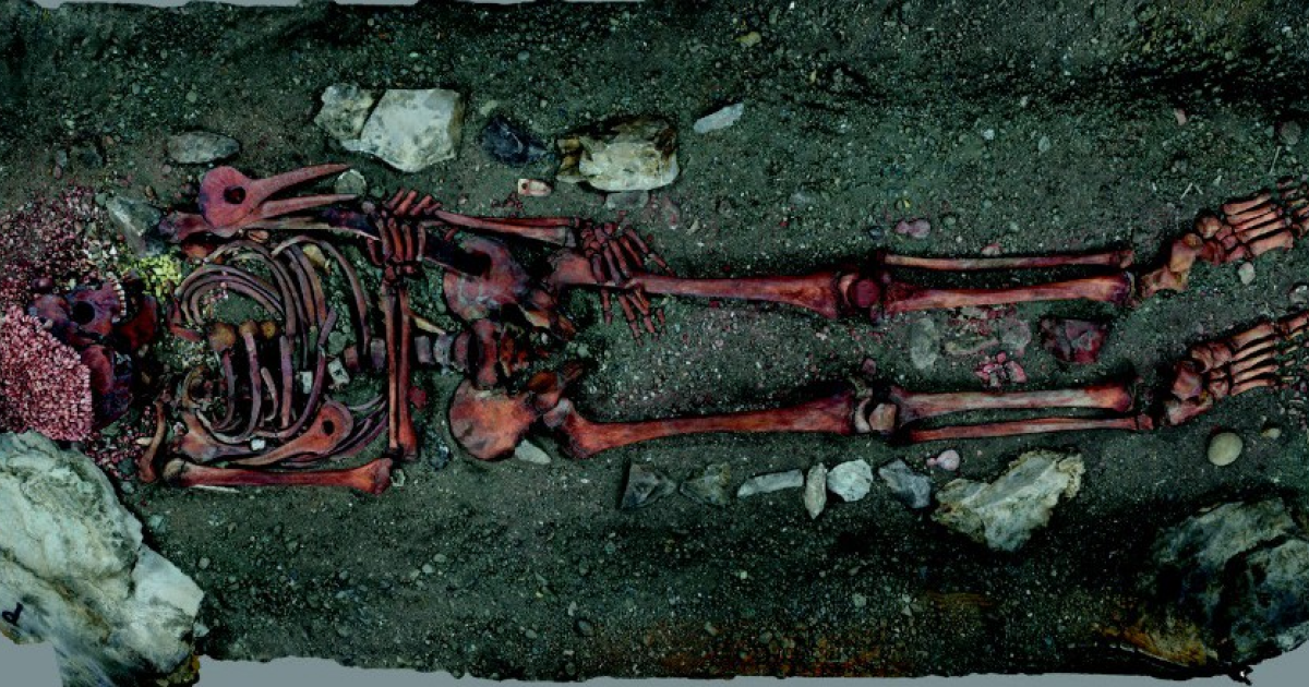 Кроманьонец прожил двое или трое суток после нападения медведя