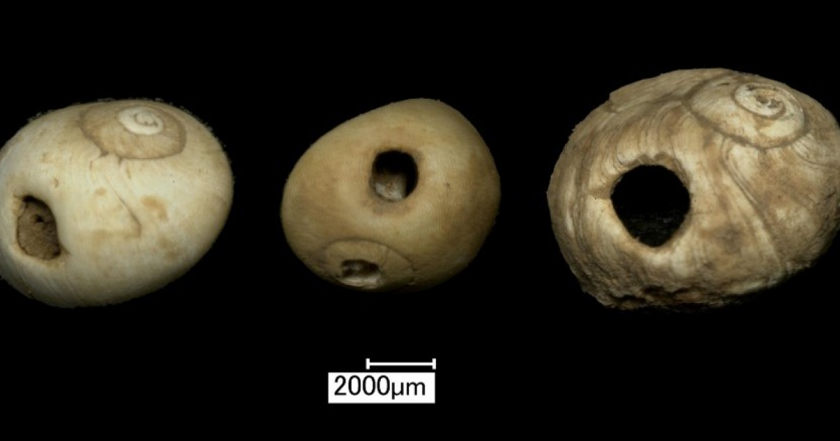 Трехлетнюю девочку похоронили в пещере 11 тысяч лет назад
