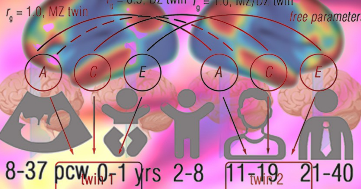 Патологическая прокрастинация частично передалась по наследству