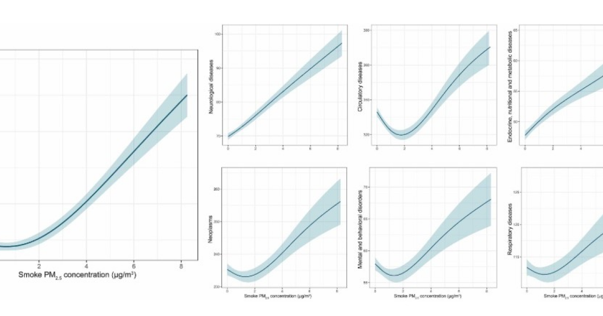 Дым от пожаров обвинили в 24 тысячах дополнительных смертей в США ежегодно
