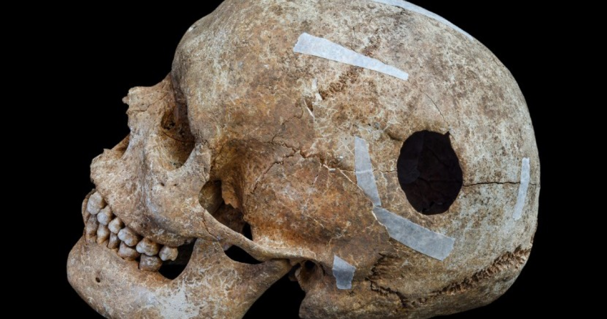 В братской могиле эпохи викингов обнаружили 195-сантиметрового мужчину