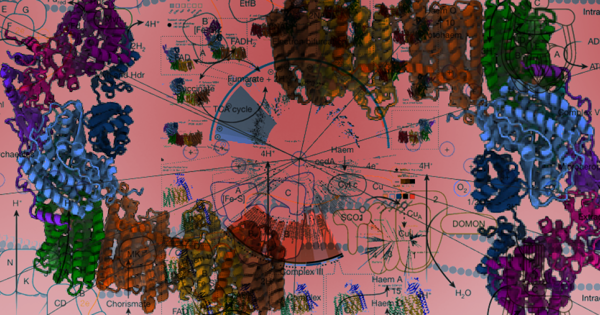 Архейным предкам эукариотов разрешили быть толерантными к кислороду