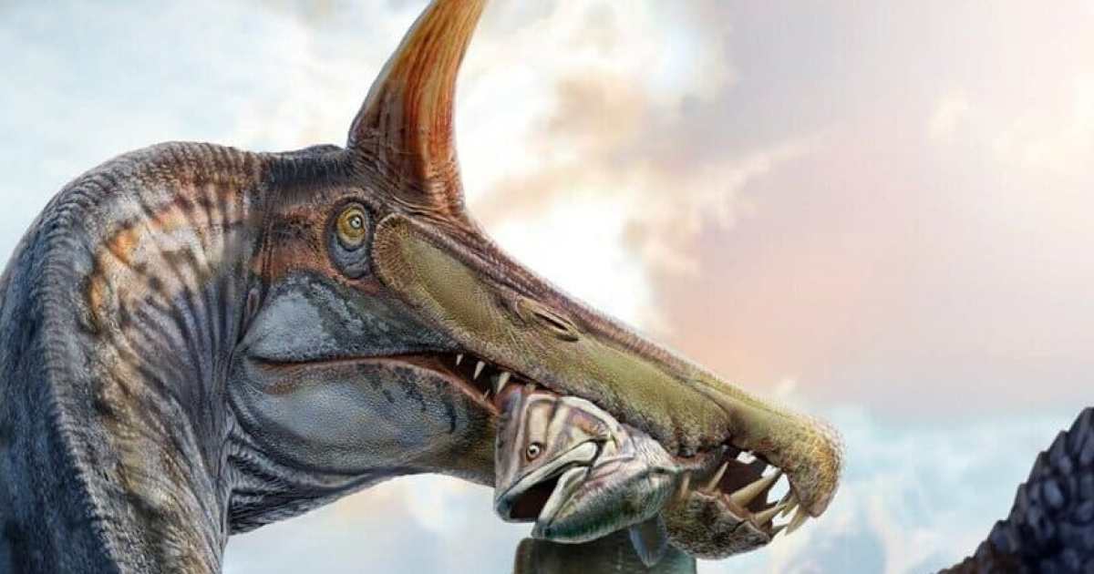 Второй вид спинозавров отличился 40-сантиметровым гребнем на голове