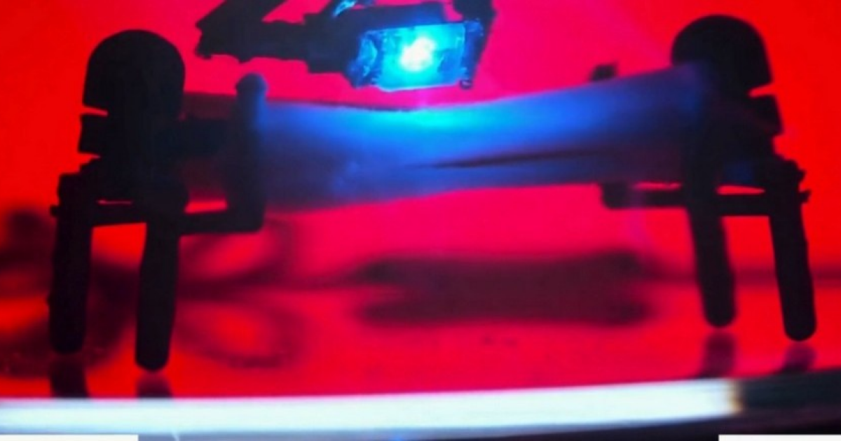 Японцы построили миниатюрного четвероногого робота с живыми мышцами