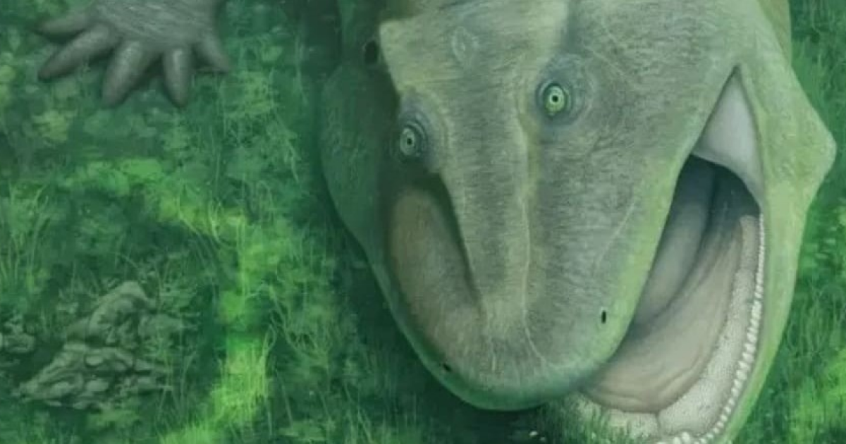 Стволовой тетрапод из ранней перми Бразилии отличился искривленными челюстями