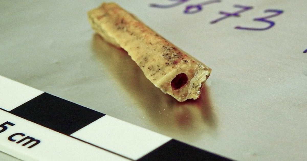 Палеогенетики опубликовали высококачественный геном алтайского неандертальца