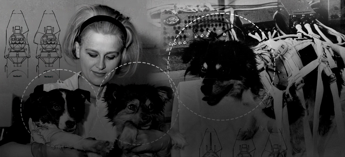 Радиационный барьер