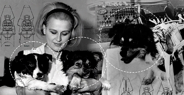 Радиационный барьер