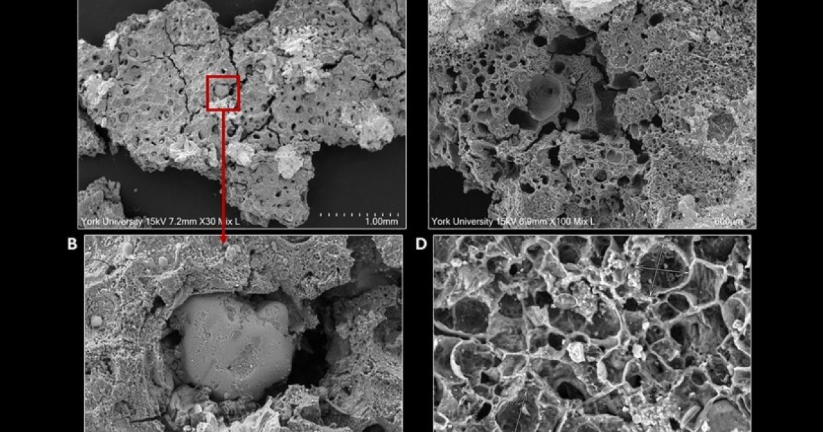 Рыбную похлебку с калиной назвали блюдом древних охотников-собирателей