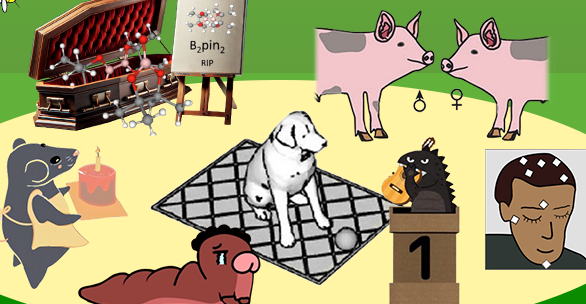 Come for pictures — 2