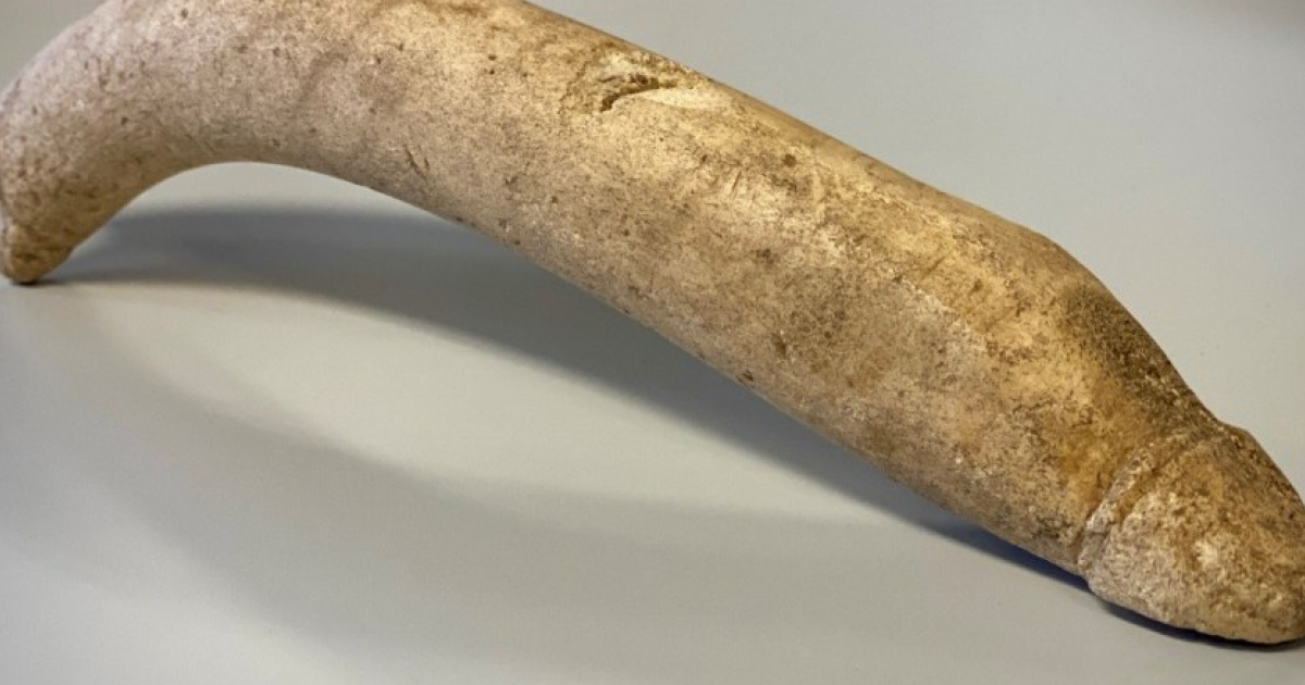 В Неймегене обнаружили 20-сантиметровый римский фаллос