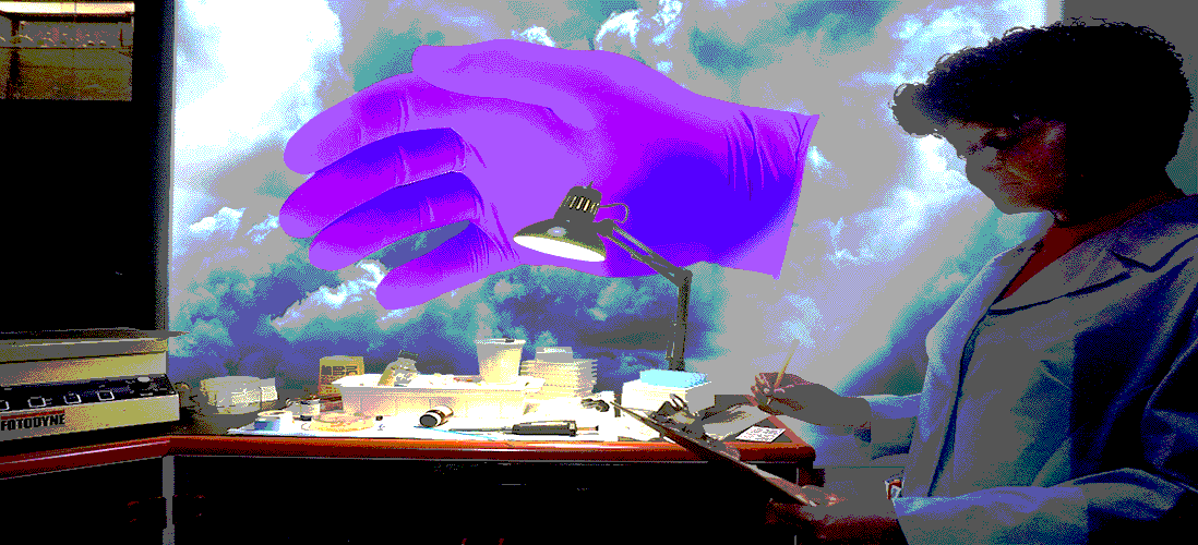 Перчаткогейт