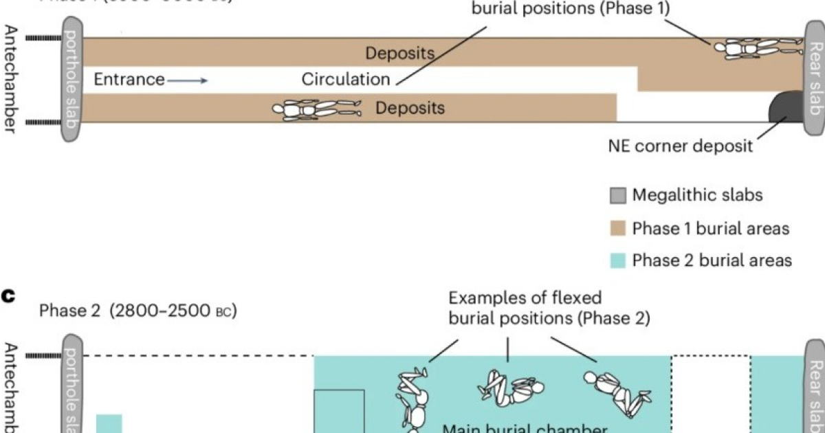 Генетики зафиксировали смену популяций во Франции в эпоху неолита